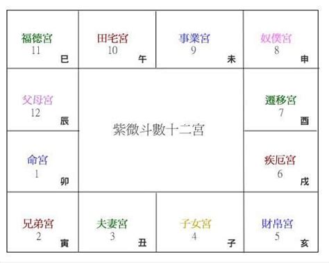 恩光天貴|東派紫微斗數入門 